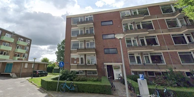 Room for rent in a shared flat in Groningen
