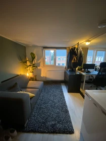 Enschede içinde aydınlık özel oda