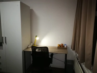 Room for rent in a shared flat in Rotterdam