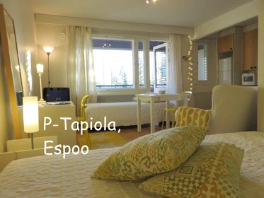 Appartamento completamente ristrutturato a Espoo