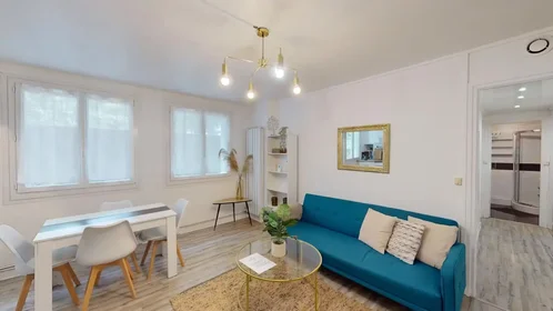 Entire apartment at Rue de la Tour, , image 8 of 10