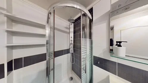 Entire apartment at Rue de la Tour, , image 9 of 10