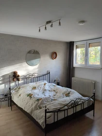 Cheap private room in Darmstadt