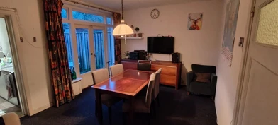 Chambre à louer dans un appartement en colocation à Enschede