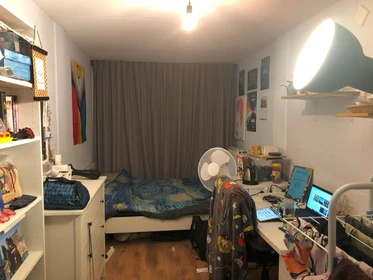 Enschede de çift kişilik yataklı kiralık oda