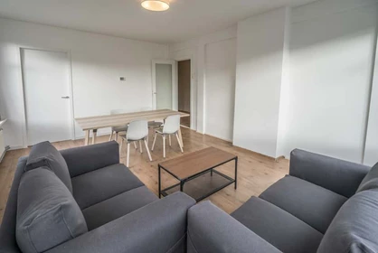 Renting rooms by the month in Rotterdam