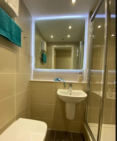 Habitación privada muy luminosa en Bath