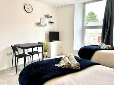Two bedroom accommodation in Swansea