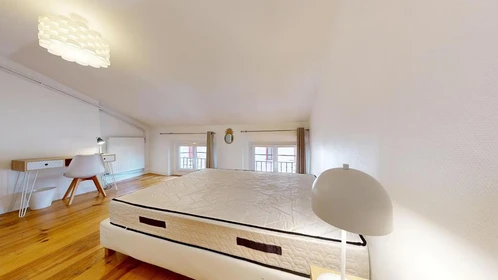 Appartamento con 2 camere da letto a Saint-étienne
