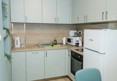 Entire fully furnished flat in Varna