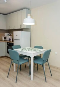 Entire fully furnished flat in Varna