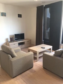 Accommodation with 3 bedrooms in Bruxelles/brussels