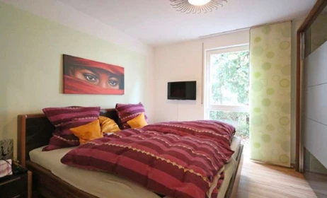 Mainz de çift kişilik yataklı kiralık oda