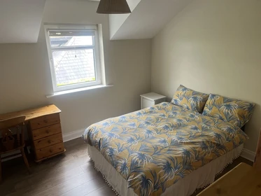 Room for rent with double bed Cork