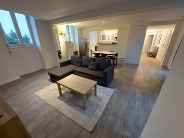 Poitiers de ortak bir dairede kiralık oda