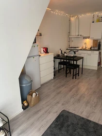 Appartamento con 2 camere da letto a Leeuwarden