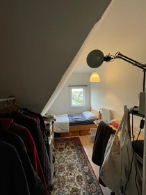 Delft de ortak bir dairede kiralık oda