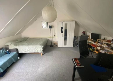 Stanza in affitto in appartamento condiviso a Groningen