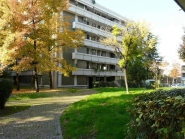 Habitación compartida barata en Padua