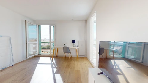 Stanza privata in 4 Rue Claude Mellarède, immagine 23 di 38