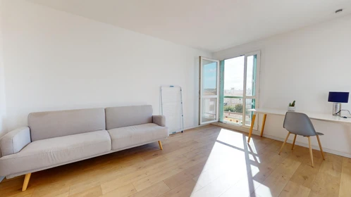 Stanza privata in 4 Rue Claude Mellarède, immagine 24 di 38