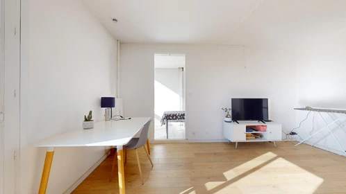 Stanza privata in 4 Rue Claude Mellarède, immagine 25 di 38