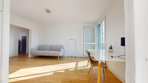 Stanza privata in 4 Rue Claude Mellarède, immagine 26 di 38
