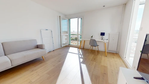 Stanza privata in 4 Rue Claude Mellarède, immagine 27 di 38