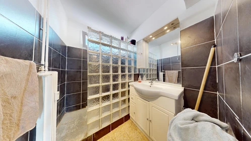 Stanza privata in 4 Rue Claude Mellarède, immagine 35 di 38