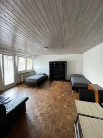 Tani pokój prywatny w Freiburg Im Breisgau