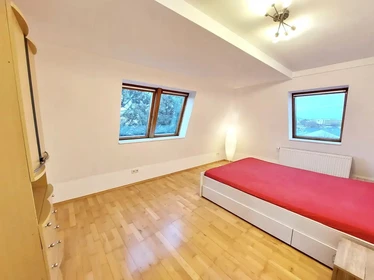 Chambre à louer dans un appartement en colocation à Dresde