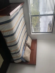 Stanza in affitto in appartamento condiviso a Gold Coast