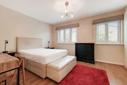 Pokój do wynajęcia z podwójnym łóżkiem w Londyn