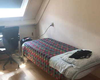 Quarto para alugar com cama de casal em Delft