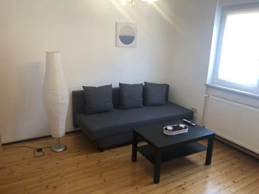 Entire fully furnished flat in Kaiserslautern