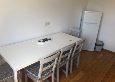 Entire fully furnished flat in Kaiserslautern
