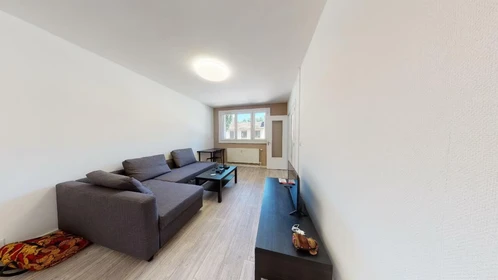 Alojamiento con 3 habitaciones en Saint-étienne