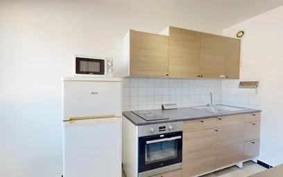 Logement entier à Avenue de Rochetaillée, Saint-Roch-Valbenoite-Badouillère, image 2 de 10