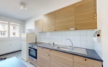 Logement entier à Avenue de Rochetaillée, Saint-Roch-Valbenoite-Badouillère, image 3 de 10