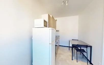 Logement entier à Avenue de Rochetaillée, Saint-Roch-Valbenoite-Badouillère, image 4 de 10