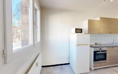 Logement entier à Avenue de Rochetaillée, Saint-Roch-Valbenoite-Badouillère, image 5 de 10