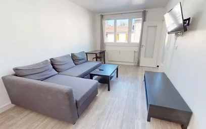 Logement entier à Avenue de Rochetaillée, Saint-Roch-Valbenoite-Badouillère, image 6 de 10