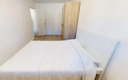 Logement entier à Avenue de Rochetaillée, Saint-Roch-Valbenoite-Badouillère, image 10 de 10