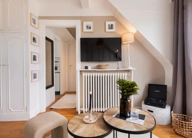 Great studio apartment in Paris