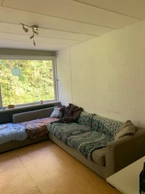 Habitación en alquiler con cama doble Enschede