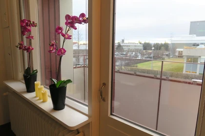 Helles Mehrbettzimmer in Reykjavík zu vermieten