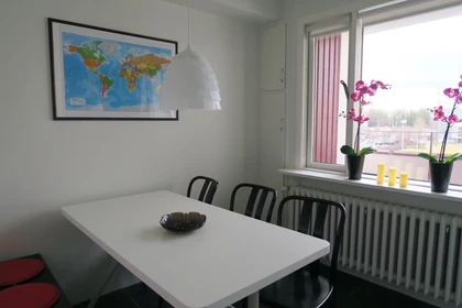 Wspólny pokój z innym studentem w Reykjavík