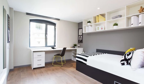 Zimmer mit Doppelbett zu vermieten Bristol