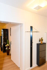 Entire fully furnished flat in Bonn