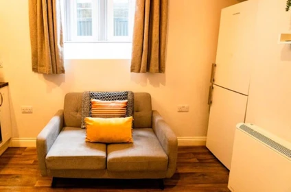 Entire fully furnished flat in Swansea